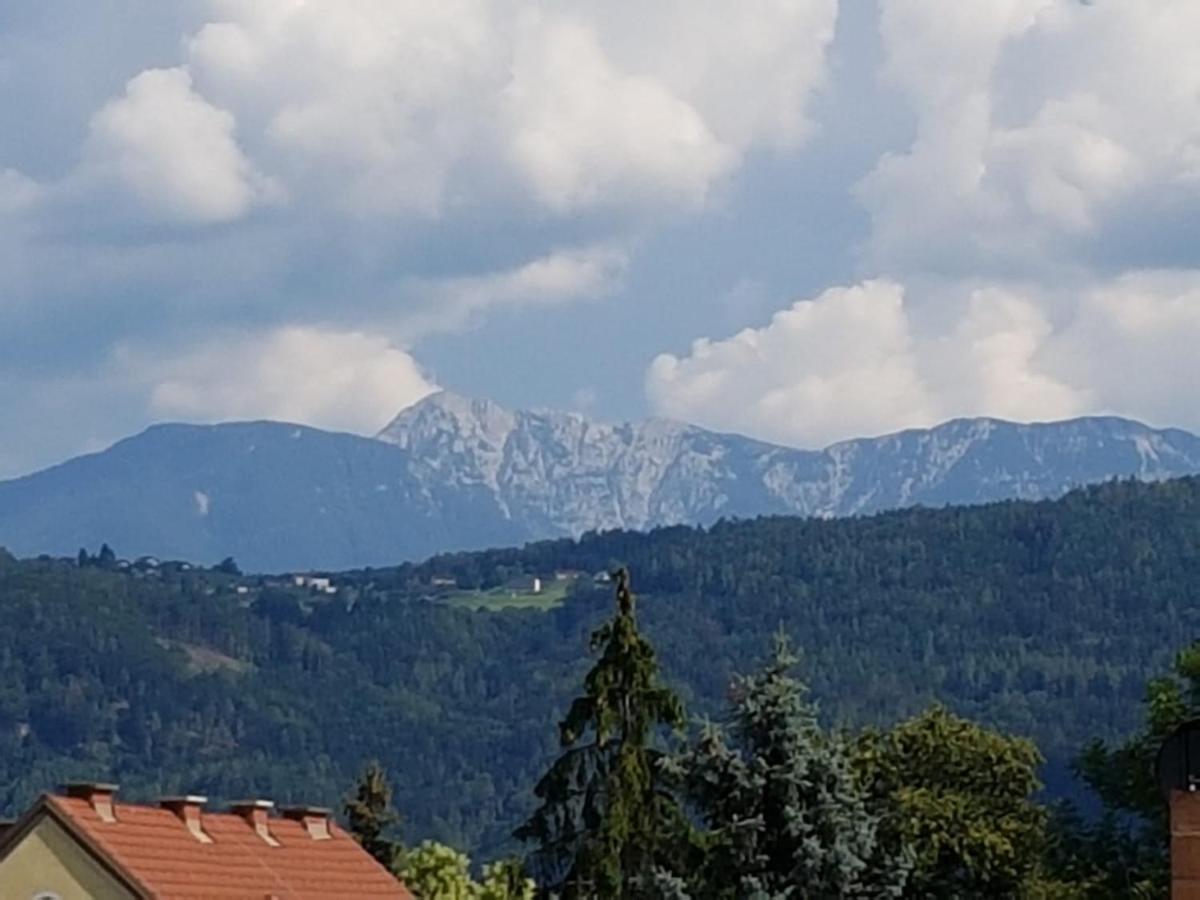 Ferienwohnung Klagenfurt Klagenfurt am Woerthersee Dış mekan fotoğraf